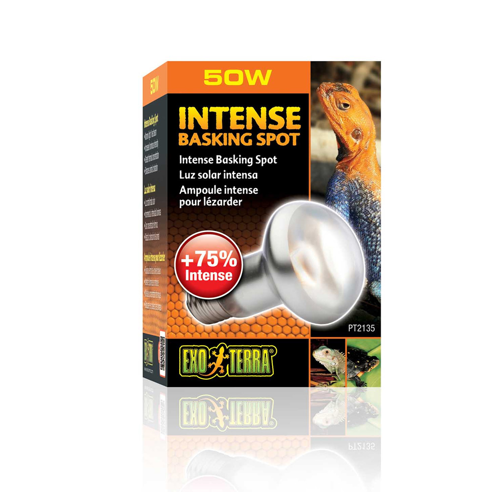 Exo Terra Intense Basking Spot 50W Punktowa Żarówka do Terrarium